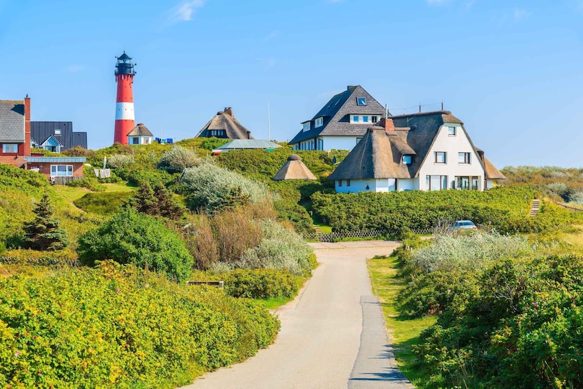 Picture 1 for Activity Sylt: Island Highlights Sightseeing Tour by Bus
