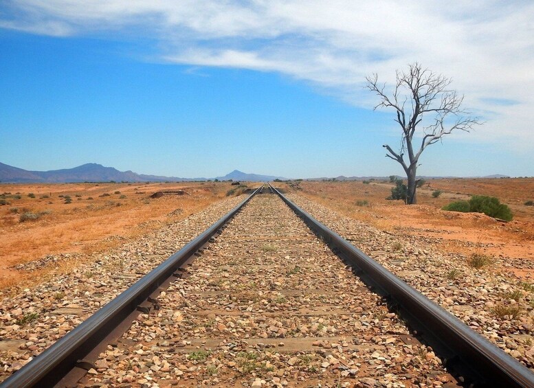 Picture 2 for Activity Coober Pedy: 7-Day Lake Eyre & Flinders Ranges 4WD Tour