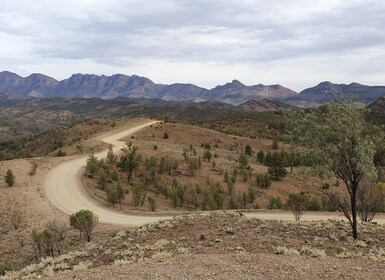 Coober Pedy: ทัวร์ 7 วัน Lake Eyre & Flinders Ranges 4WD