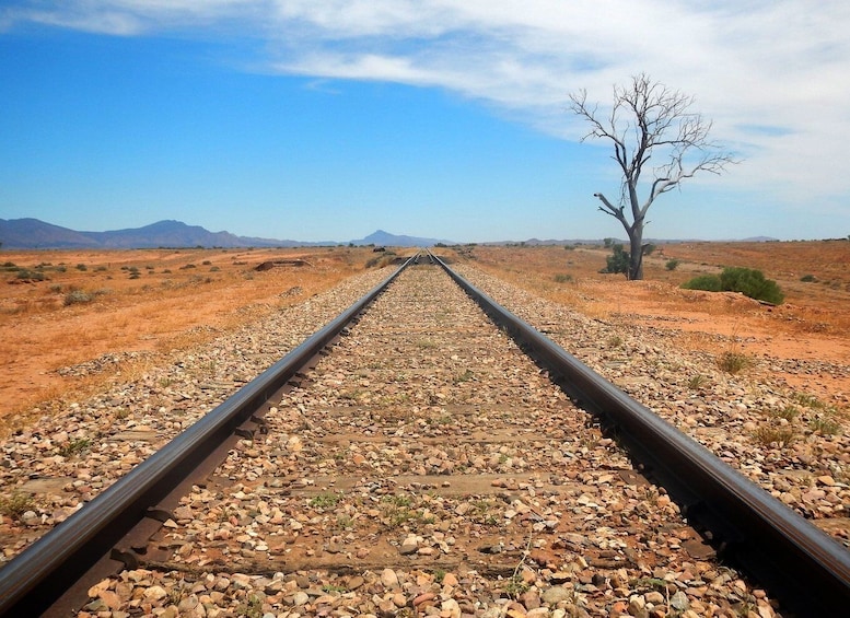 Picture 2 for Activity Coober Pedy: 7-Day Lake Eyre & Flinders Ranges 4WD Tour