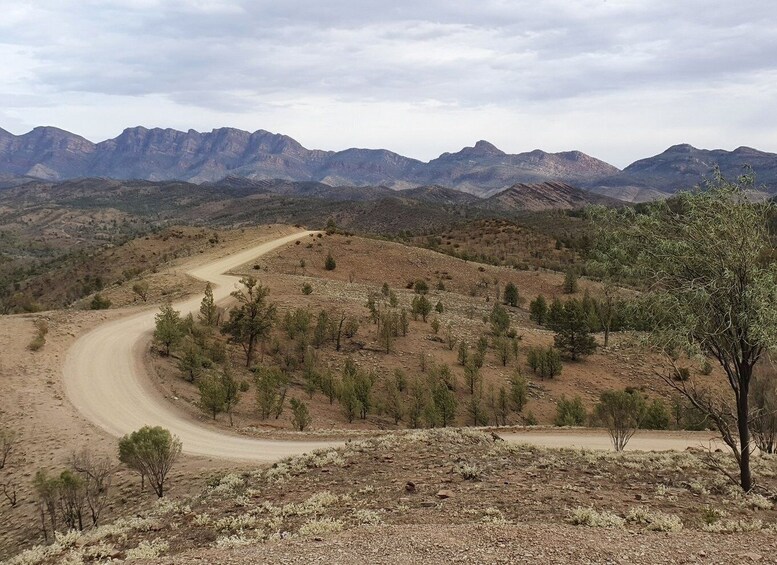 Coober Pedy: 7-Day Lake Eyre & Flinders Ranges 4WD Tour