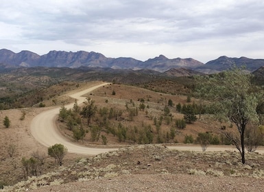 Coober Pedy : Circuit de 7 jours en 4x4 au lac Eyre et dans les Flinders Ra...