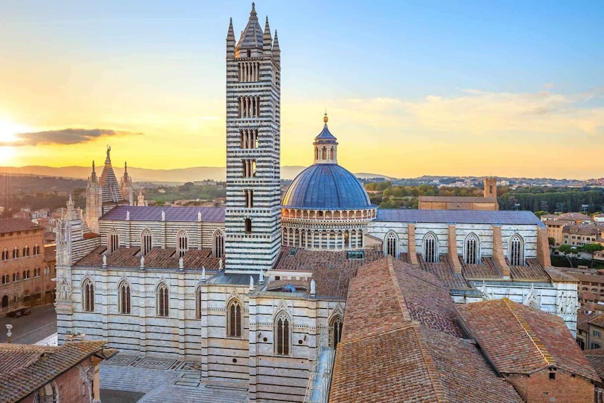 Picture 4 for Activity Lucca: Siena, San Gimignano, and Wine Tasting Full-Day Tour