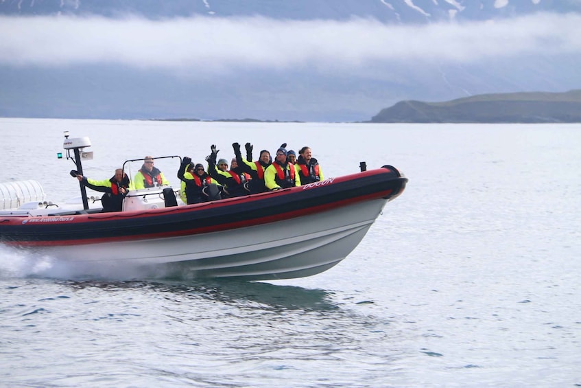 Picture 1 for Activity Dalvík: Whale Watching Speedboat Tour
