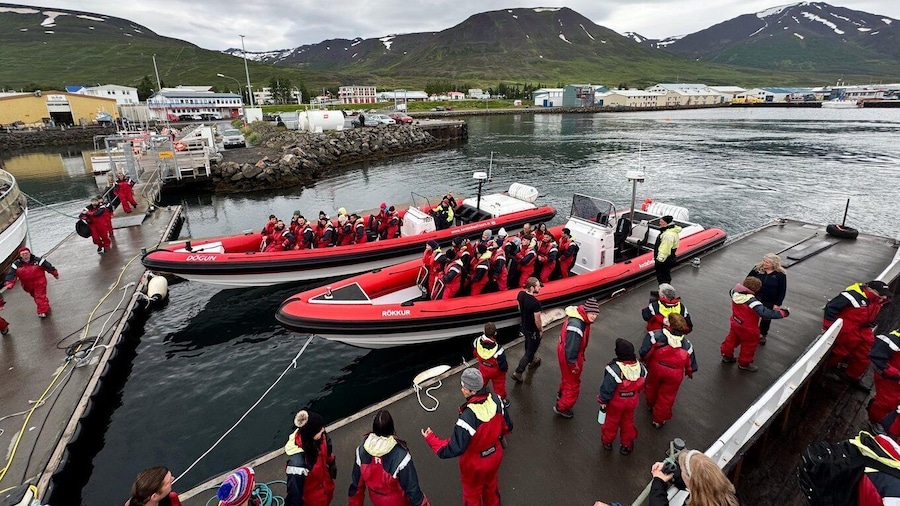 Picture 6 for Activity Dalvík: Whale Watching Speedboat Tour