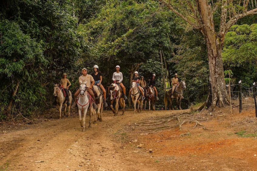 Picture 14 for Activity Punta Cana: Zipline, Chairlift, Buggy & Horse Ride Adventure