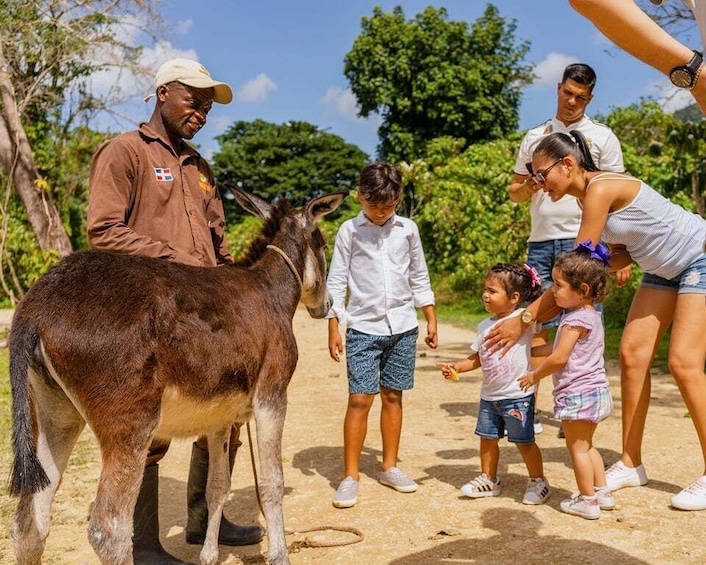 Picture 9 for Activity Punta Cana: Zipline, Chairlift, Buggy & Horse Ride Adventure