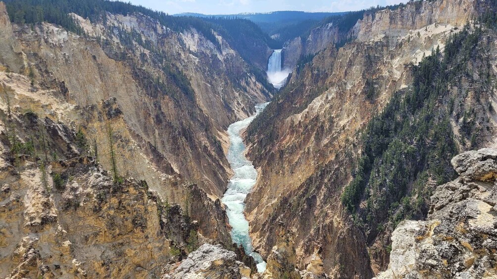 Picture 9 for Activity From Cody: Full-Day Yellowstone National Park Tour