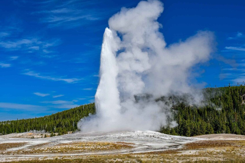 Picture 24 for Activity From Cody: Full-Day Yellowstone National Park Tour