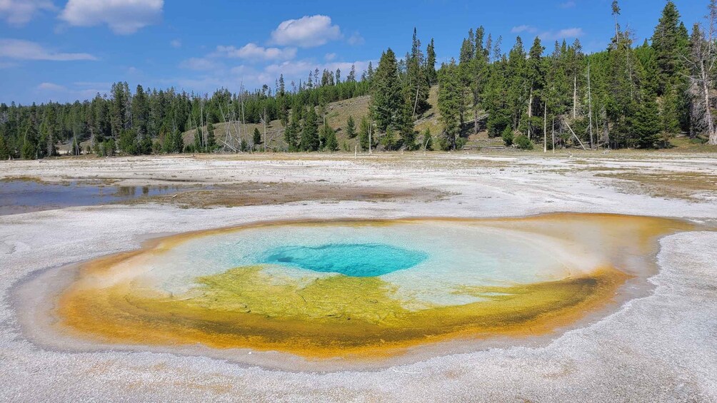 Picture 13 for Activity From Cody: Full-Day Yellowstone National Park Tour