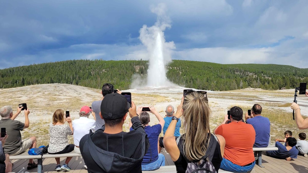 Picture 4 for Activity From Cody: Full-Day Yellowstone National Park Tour
