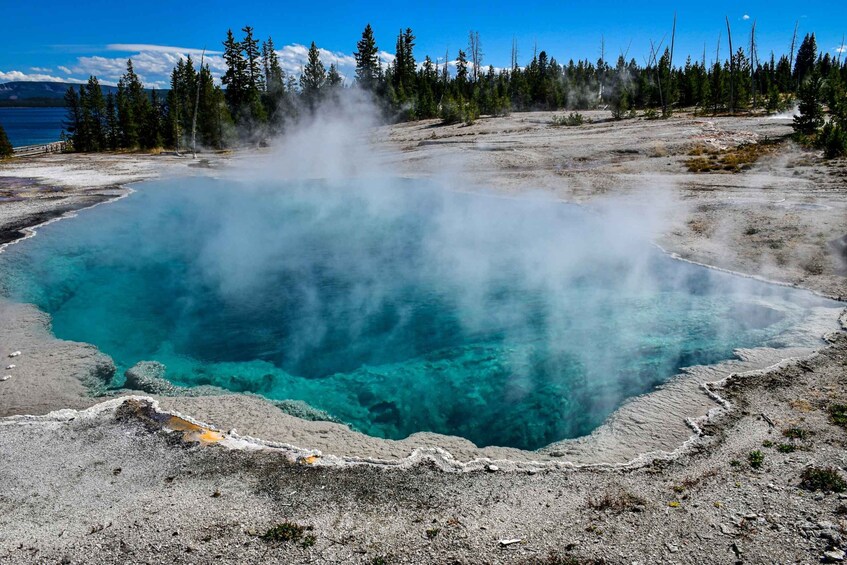 Picture 5 for Activity From Cody: Full-Day Yellowstone National Park Tour