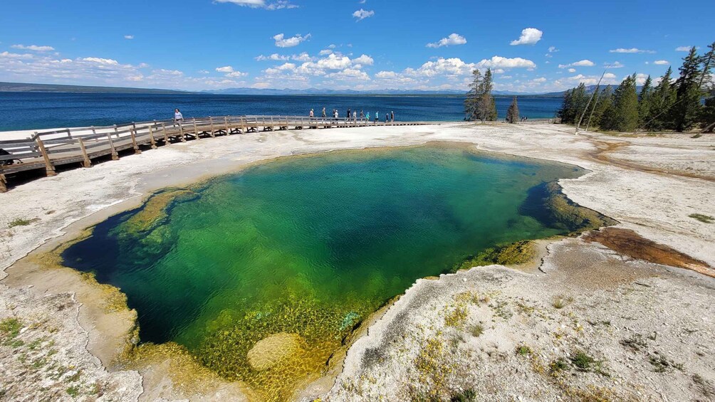 Picture 20 for Activity From Cody: Full-Day Yellowstone National Park Tour