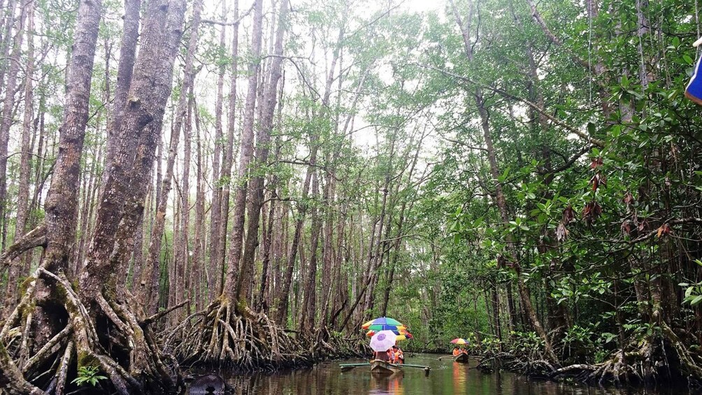 Picture 5 for Activity Puerto Princesa: Underground River, Zipline, Paddleboat Tour