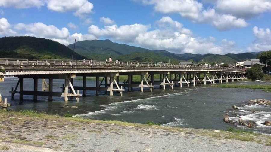 Picture 3 for Activity Kyoto Custom Private Walking Tour with Licensed Guide