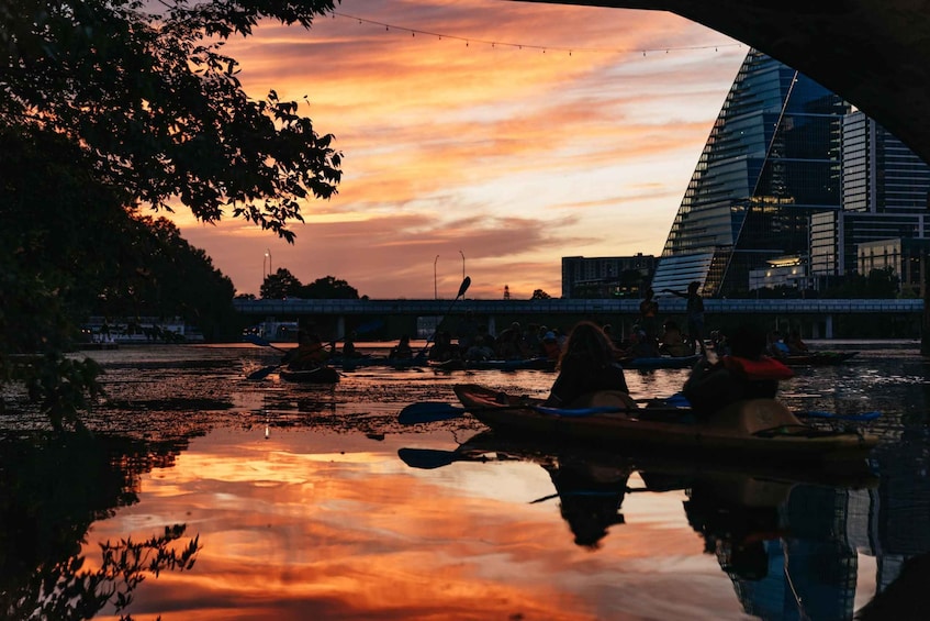 Picture 14 for Activity Austin: Sunset Bat Watching Kayak Tour