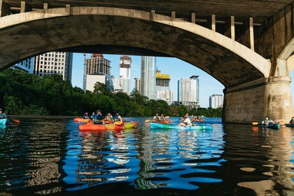 Austin: Excursión en Kayak para Observar Murciélagos al Atardecer