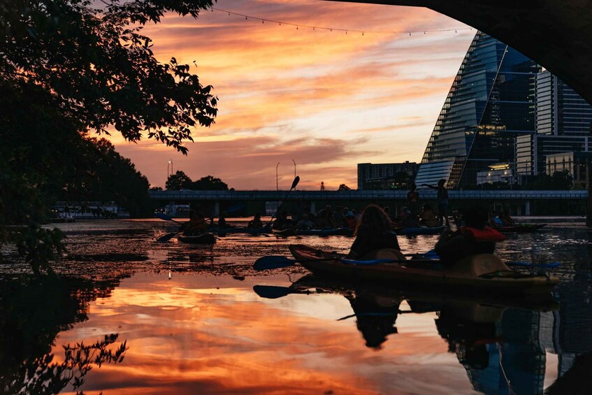 Picture 14 for Activity Austin: Sunset Bat Watching Kayak Tour