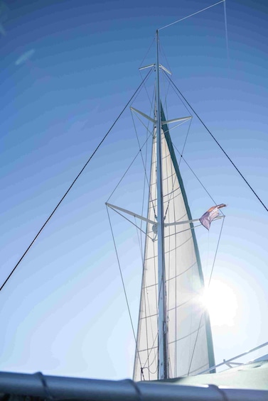 Picture 13 for Activity Valencia: Catamaran Cruise with Swimming & Optional DJ