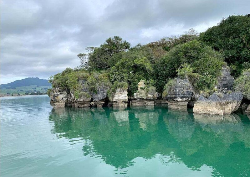 Picture 6 for Activity Raglan: Scenic Nature Cruise