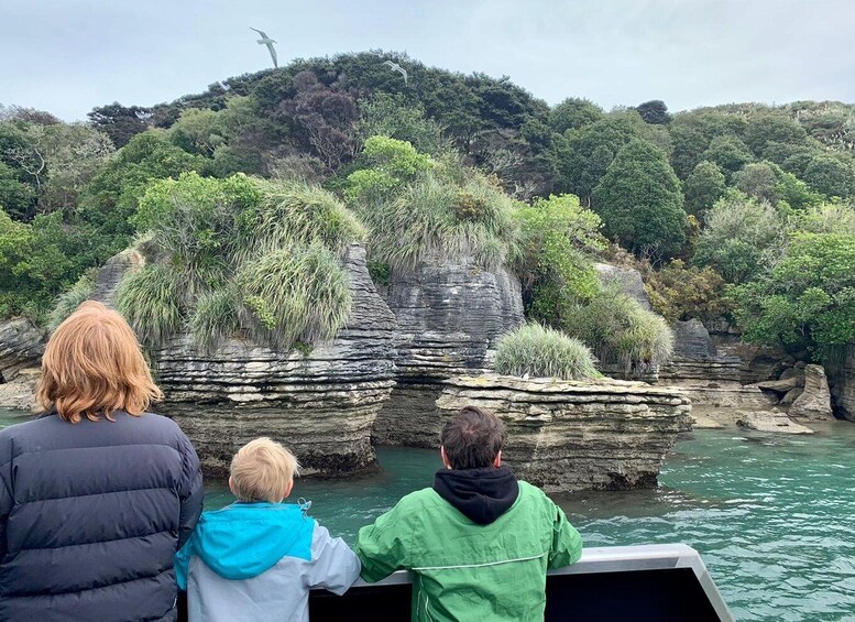 Picture 2 for Activity Raglan: Lunchtime Cruise of Raglan Harbour