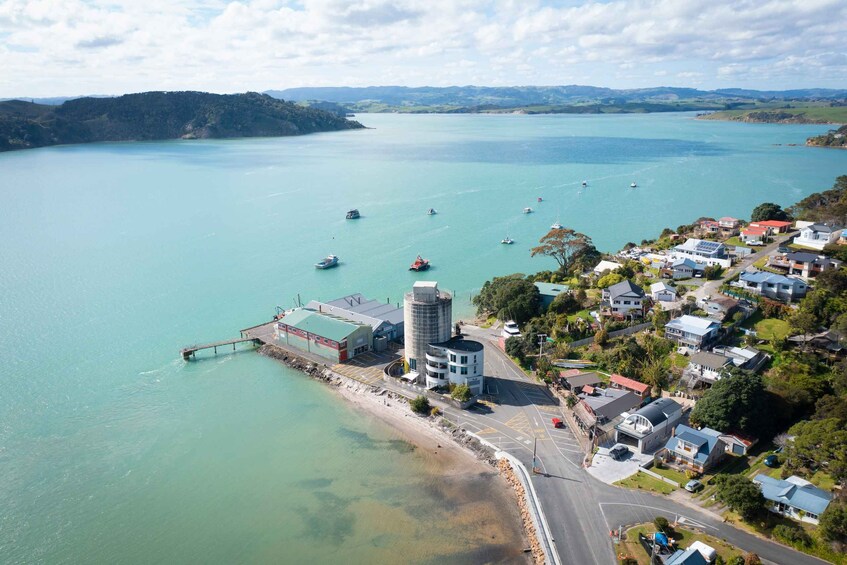 Picture 4 for Activity Raglan: Lunchtime Cruise of Raglan Harbour