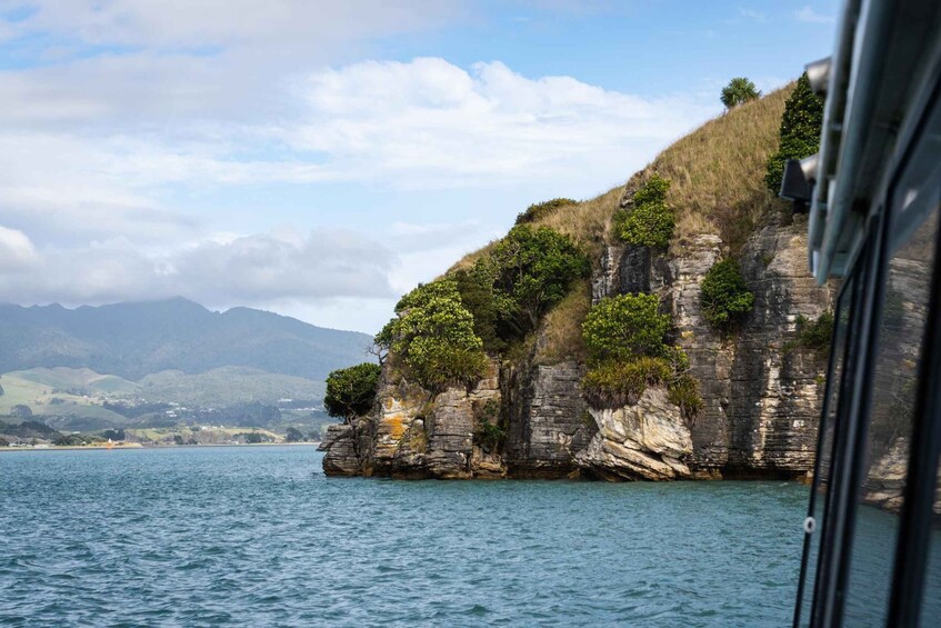 Picture 3 for Activity Raglan: Lunchtime Cruise of Raglan Harbour