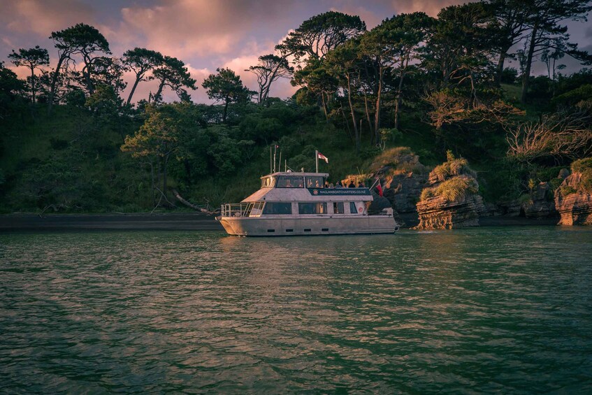 Picture 5 for Activity Raglan: Scenic Nature Cruise