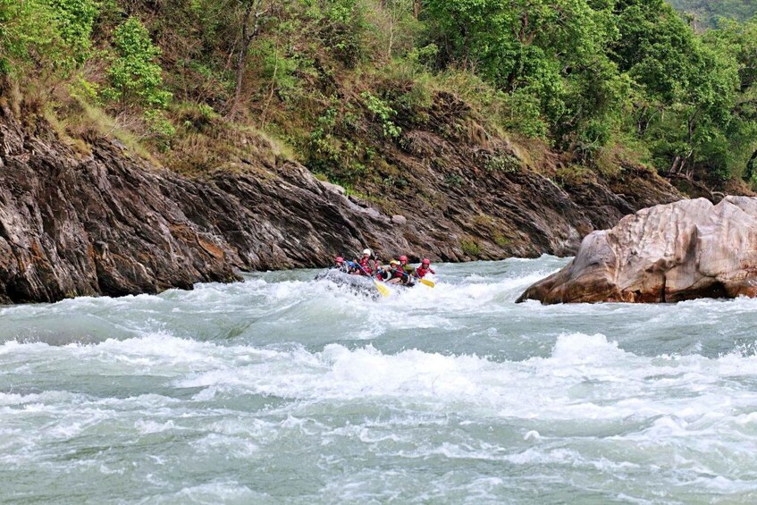 Picture 2 for Activity From Kathmandu: Trishuli River Rafting with Chitwan Tour