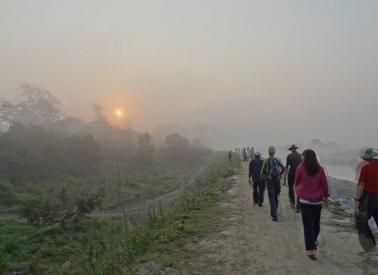 Picture 8 for Activity From Kathmandu: Trishuli River Rafting with Chitwan Tour