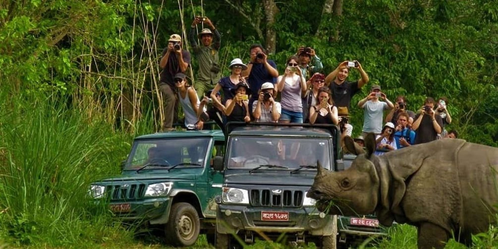 Picture 3 for Activity From Kathmandu: Trishuli River Rafting with Chitwan Tour