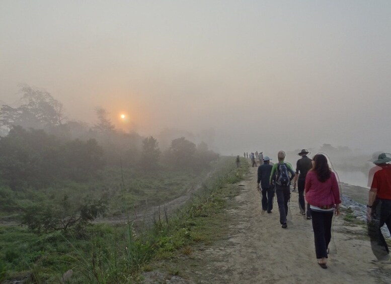 Picture 5 for Activity From Kathmandu: Trishuli River Rafting with Chitwan Tour