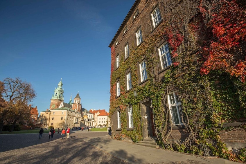 Picture 4 for Activity Krakow: Wawel Castle Guided Tour