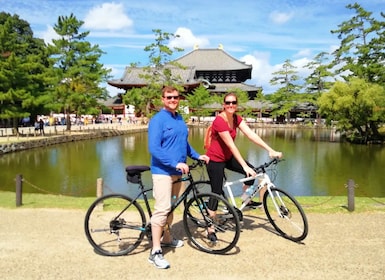 Nara: Tour in bicicletta condiviso di gruppo o privato dei punti salienti d...