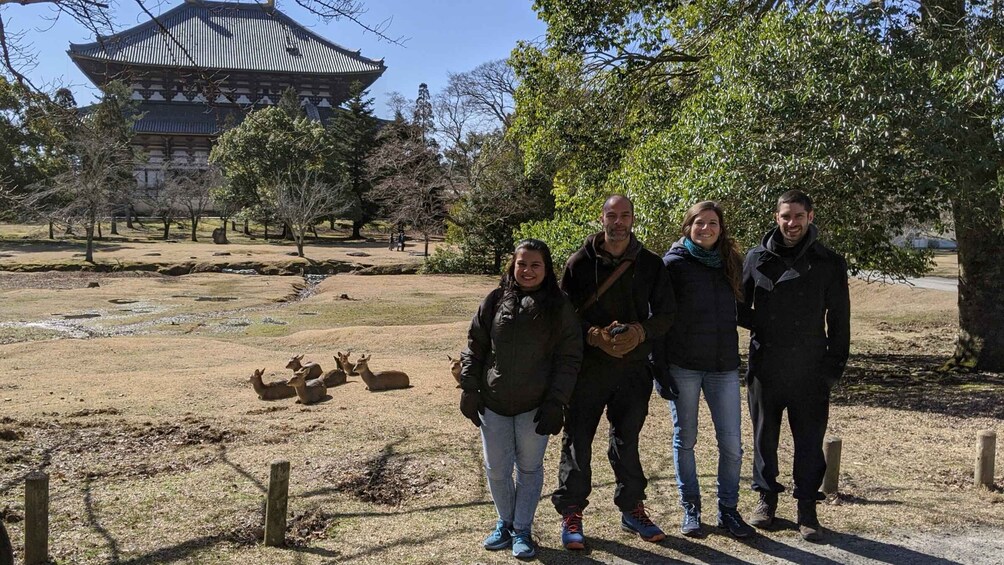 Picture 11 for Activity Nara: City Highlights Shared Group or Private Bike Tour