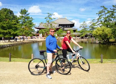 Nara: City Highlights Shared Group or Private Bike Tour