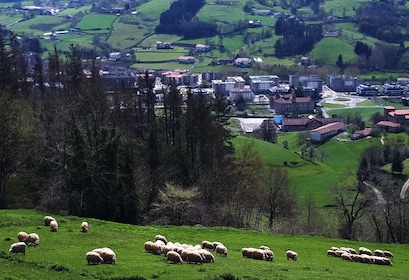 De Saint-Sébastien: visite d'une demi-journée du fromage basque