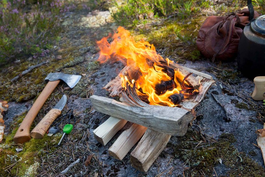 Picture 3 for Activity Rovaniemi: Autumn-Summer Arctic Survival Tour