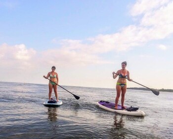 Savannah: Paddleboard Yoga Tour