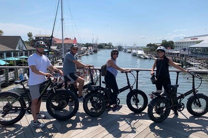 チャールストンローカントリーと海岸E-バイクツアー