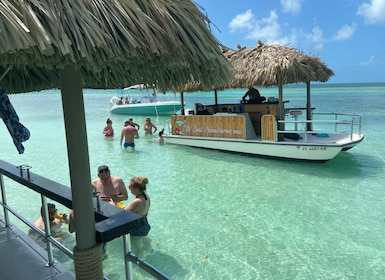 Key West: Private Florida Keys Sandbar Tiki Boat Cruise
