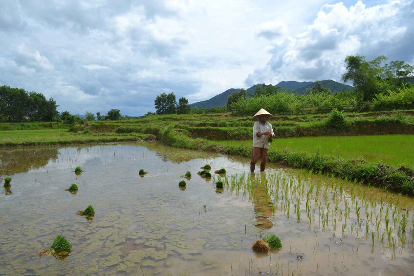 Picture 2 for Activity Hoi An Countryside Bicycle Tour : 25 Km Real Vietnam