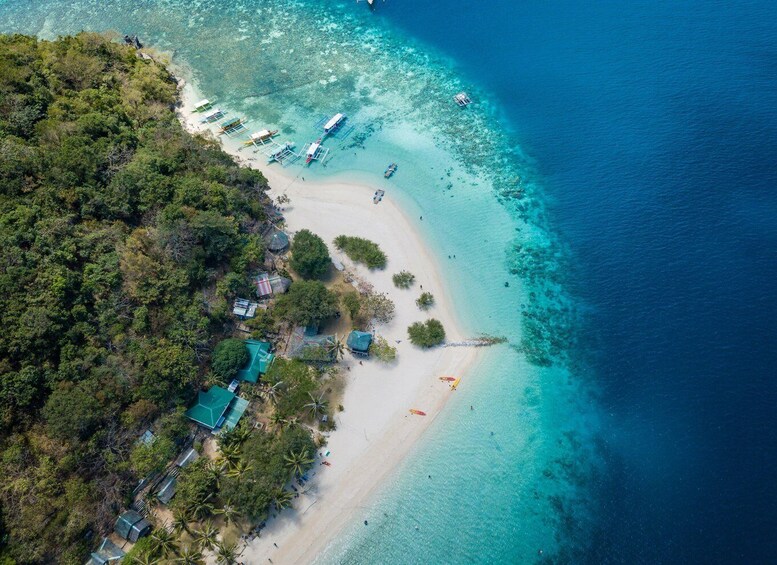 Picture 2 for Activity Coron: Coastal Cliffs, Beach & Malcapuya Island Hopping Tour