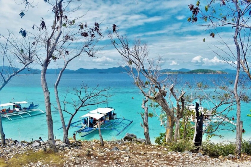 Picture 6 for Activity Coron: Coastal Cliffs, Beach & Malcapuya Island Hopping Tour