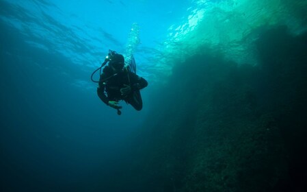 卡蘭克斯國家公園浮潛和水肺潛水