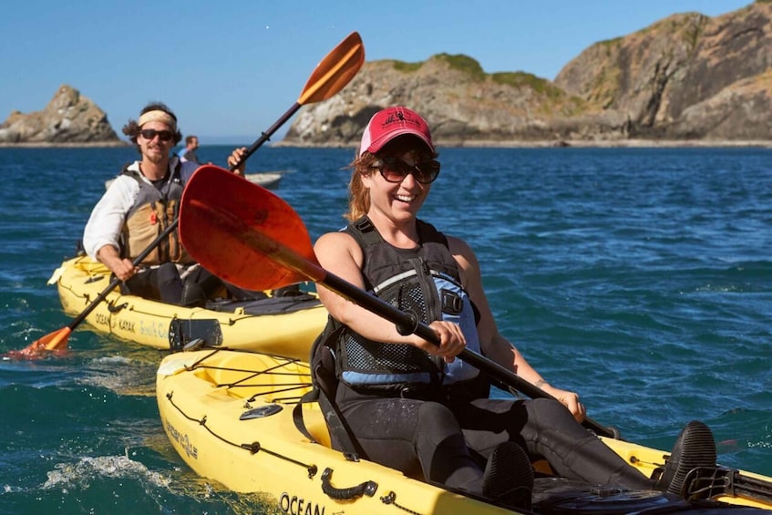 Picture 3 for Activity Port Orford: Kayak Tour to Orford Heads with Gear