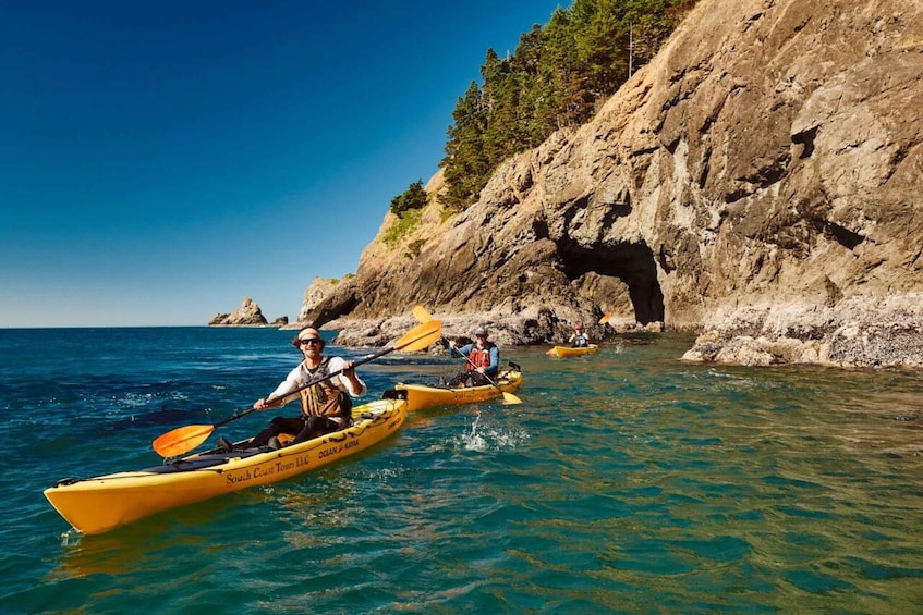 Picture 1 for Activity Port Orford: Kayak Tour to Orford Heads with Gear