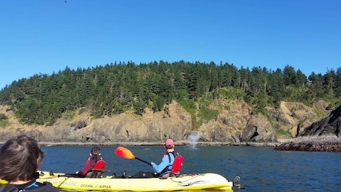 Port Orford: Kayak Tour to Orford Heads with Gear