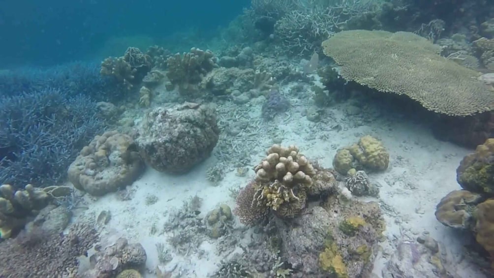 Picture 3 for Activity Coron: Off-Bay Islands, Lagoons and Lakes Hopping Tour