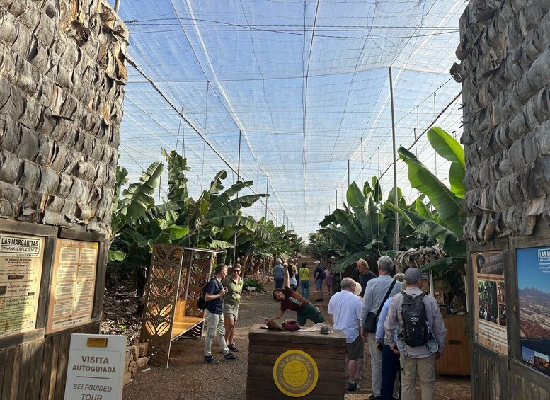 Picture 6 for Activity Tenerife: Flavours and Wines of Tenerife Gastronomy Tour
